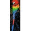 Rainbow Parrot - impression encadrée orange Pop Art pour la décoration intérieure-1126233973