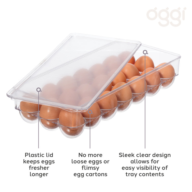Egg Holder Eggs Tray Bins with Handle Fridge Organizer Pantry