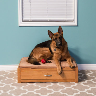 Canapé pour chien Bethune