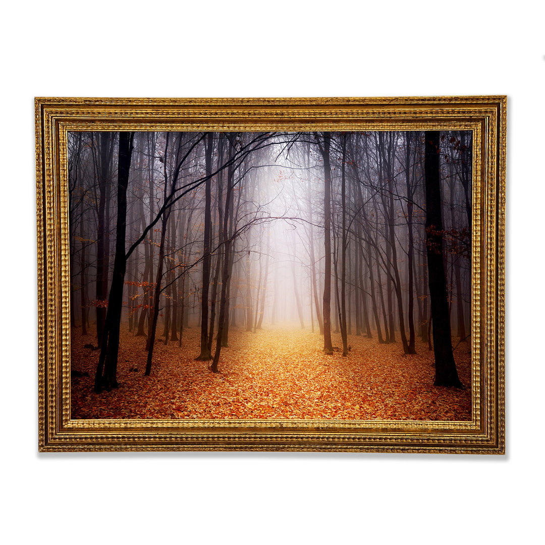 Autumn Mist - Print