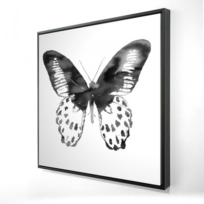 «Papillon noir»
