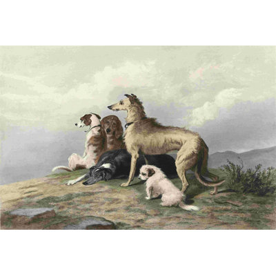 Highland Dogs