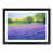 Black Framed