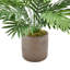 Palmier artificiel en pot 16 po Areca-33390918