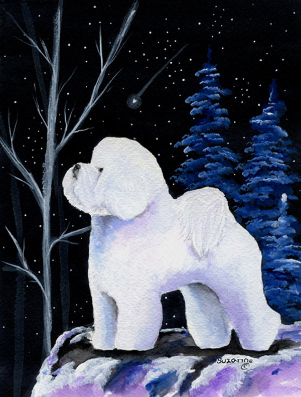 Starry night bichon bichon frisé 2 côtés polyester 40 x 28 po drapeau de jardin, H 40 po x l 28 po