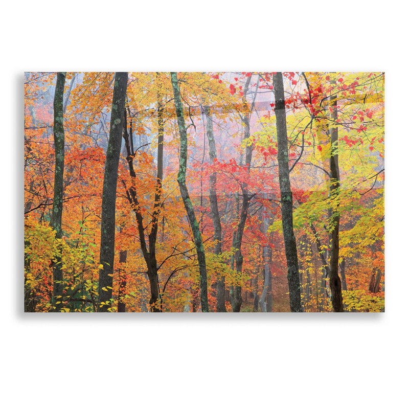 «Autumn Colors» par Patrick Zephyr, art mural en verre acrylique, H 12 po x l 16 po x P 0,13 po
