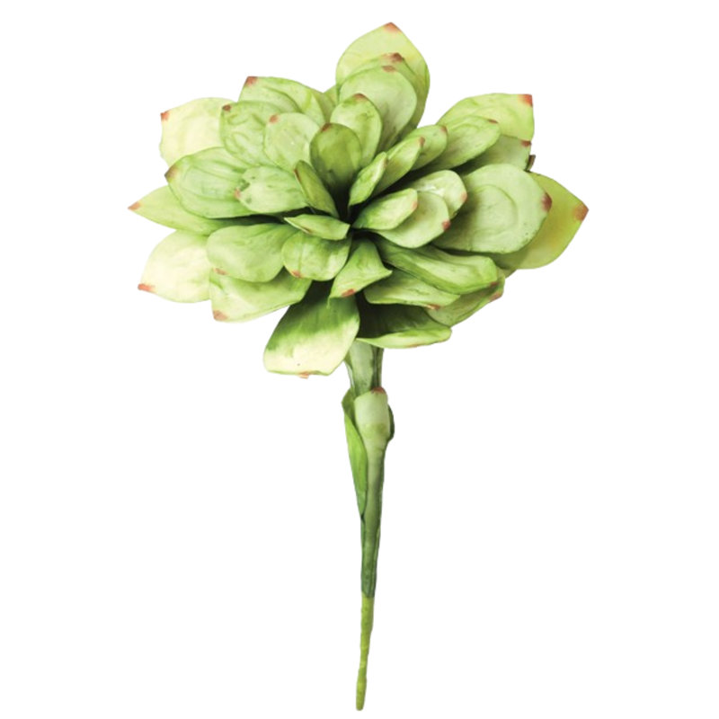 Foam Succulent Arrangement