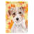 Jack Russell terrier à poil rugueux sélectionné
