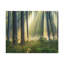 No Frame Print on Canvas-527625871