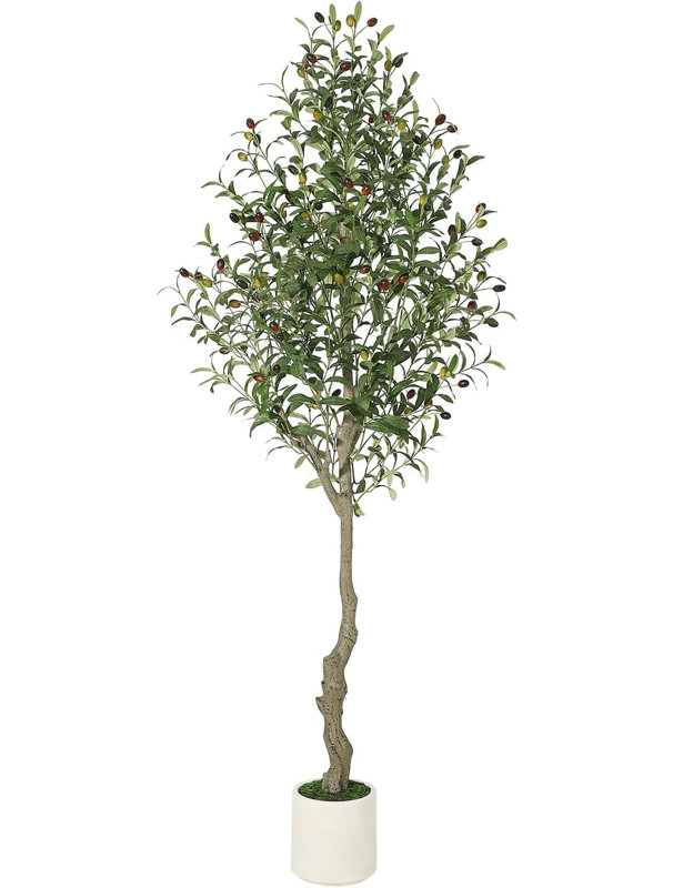 59.06cm Plant, 2