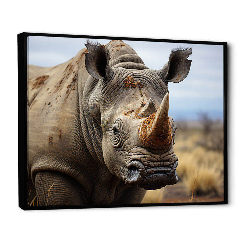 Rhinocéros, portrait monochrome, Cadre flottant noir, H 30 po x l 40 po x P 1,5 po