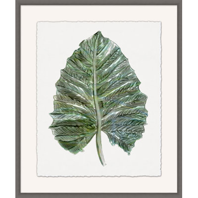 Foliage Study 3 Print
