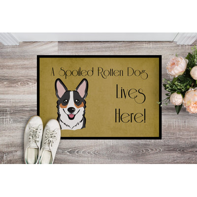 Pannell Non-Slip Outdoor Doormat