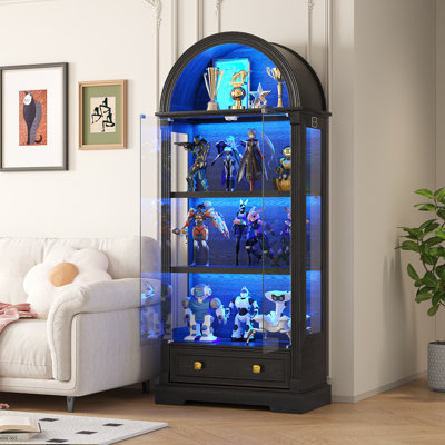 Arched Display Cabinet With Led Light by Wrought Studio