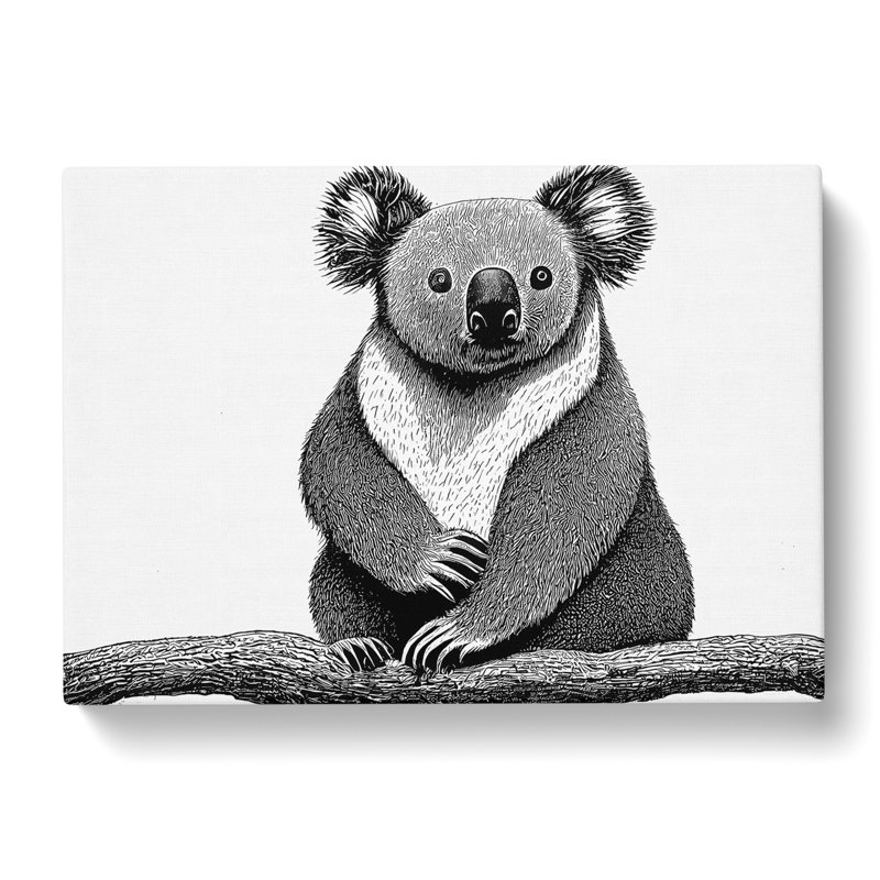 Sitting Koala Bear - Wrapped Canvas, 35cm H x 50cm W x 3cm D