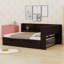 Lit de jour avec tablettes, USB, DEL et 2 tiroirs, idéal pour les chambres à coucher et les salons-672600242