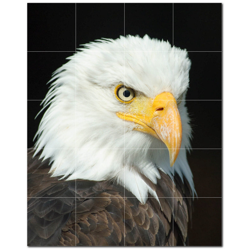 8'' x 8'' Satin Ceramic Decorative Mural