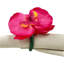 Plastique, anneau de serviette en tissu-331159666