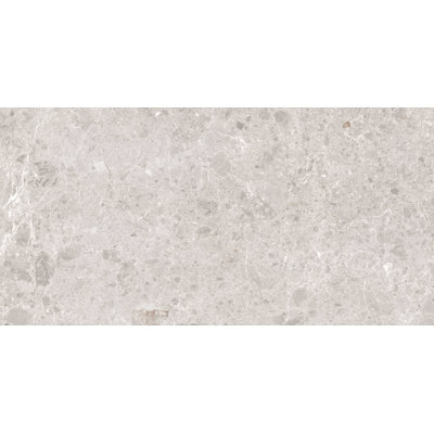 Terrazzo 23.62 in. x 47.24 in. Honed Porcelain Tile