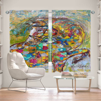 Room Darkening Curtain Pair