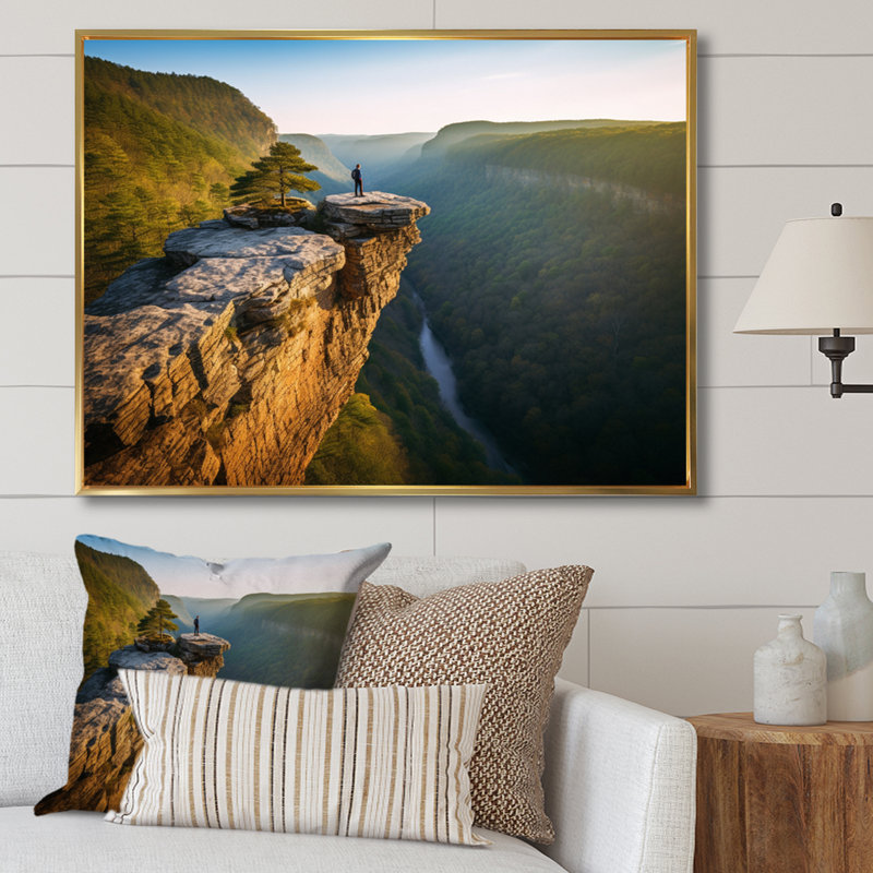 Arkansas Whitaker Point I - art mural grand Arkansas, Cadre flottant doré, H 12 po x l 20 po x P 1 po
