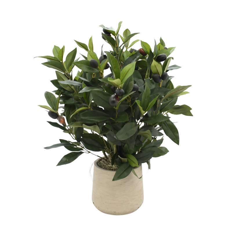 Faux Olive Tree Plant in Fiberstone Pot