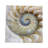 Nautilus Pearl Rectangle Tabletop Set