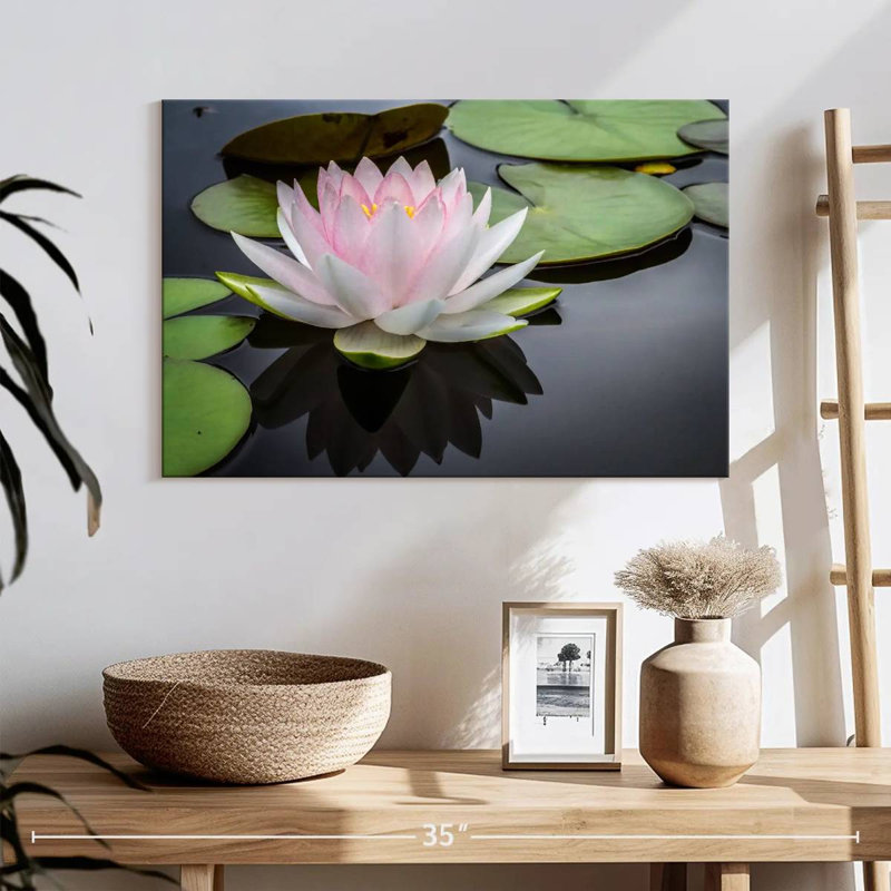 Lotus blanc rosé Harnek, H 16 po x l 24 po