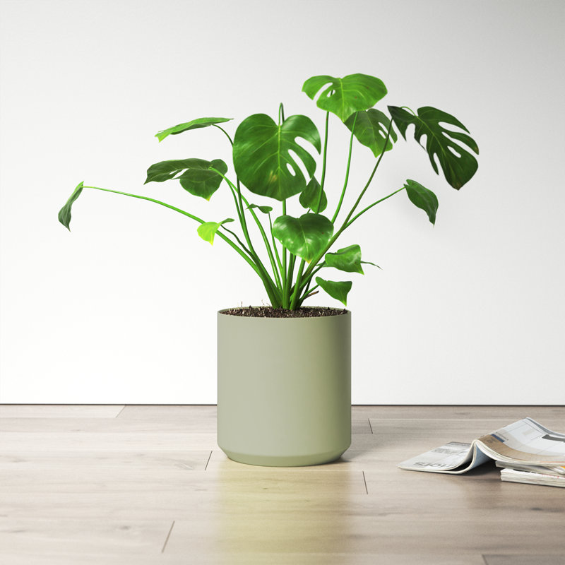 Parsons Handmade Ceramic Pot Planter, Green