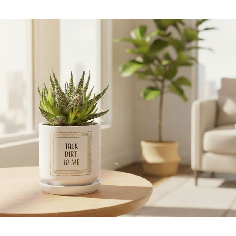 Planter Talk Dirt To Me