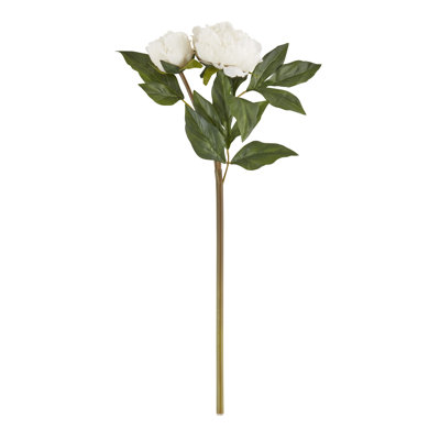 Pivoine florale (ensemble de 12)