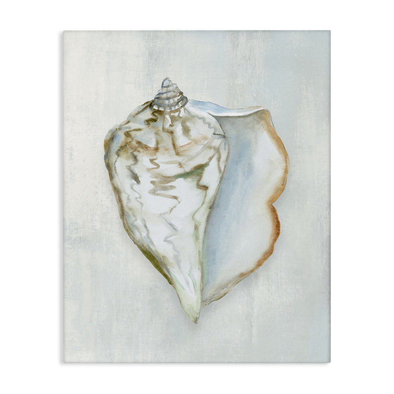 Toile Mute Conch Shell Serenity, design par Hannah Dawson, H 20 po x l 16 po