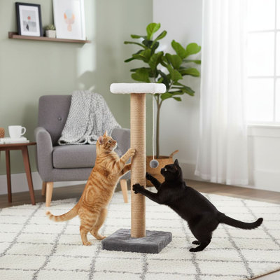 Grattoir pour chat