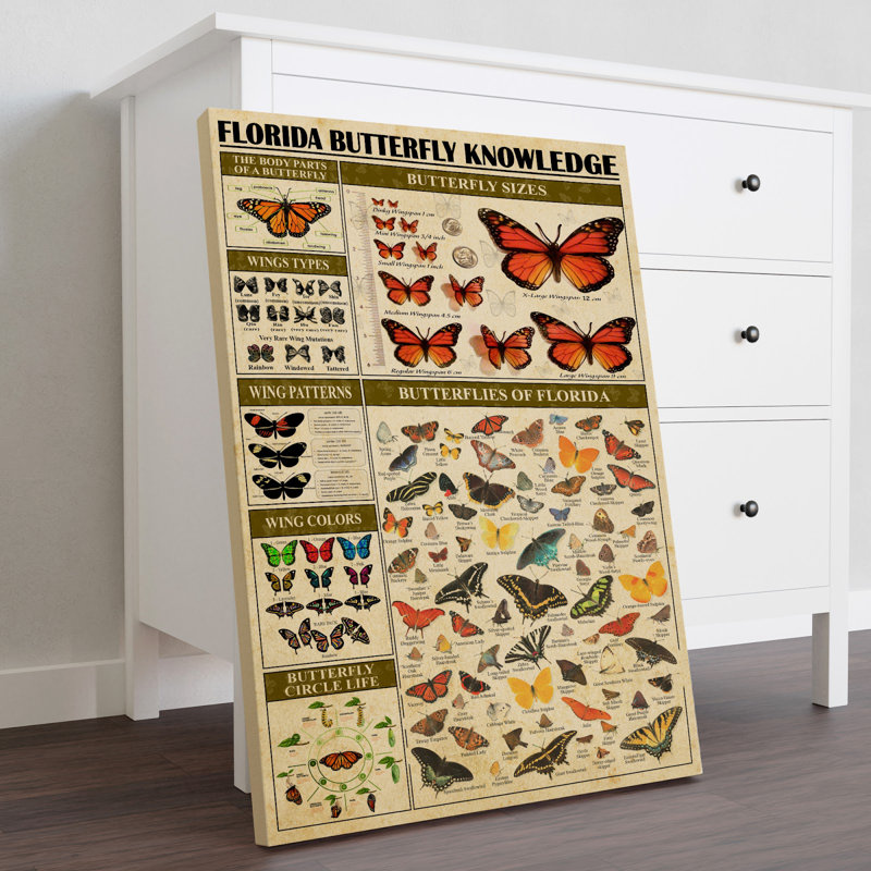 «Florida Butterfly», galerie d'art sur toile tendue - décor animalier rouge et noir, H 14 po x l 11 po x P 2 po
