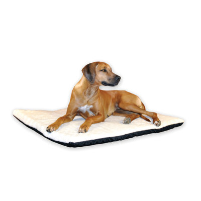 Coussin Thermo-Ortho avec fond «Stay Put»