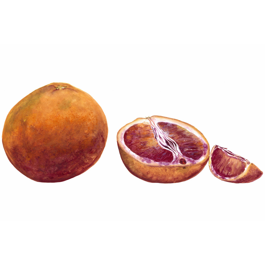 Leinwandbild Watercolour Blood Orange von Michael Willett