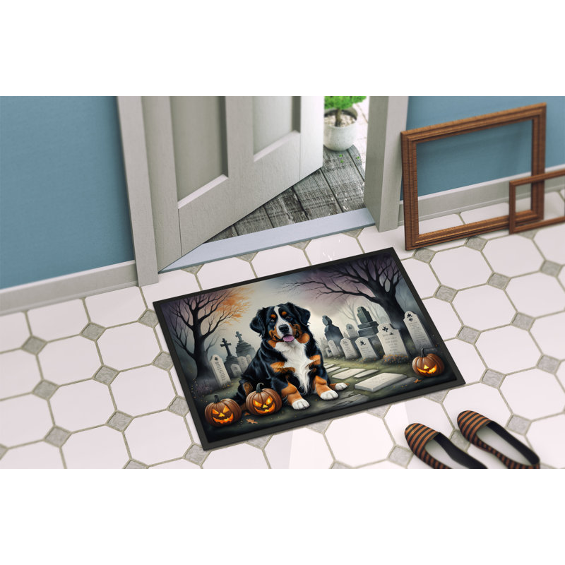 Tapis d'extérieur antidérapant Nyajah Bernese, L 24 po x L 36 po