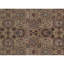 Manchuria Wool Oriental Area Rug in Beige/Brown