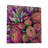" Cactus 195 "-1713203470