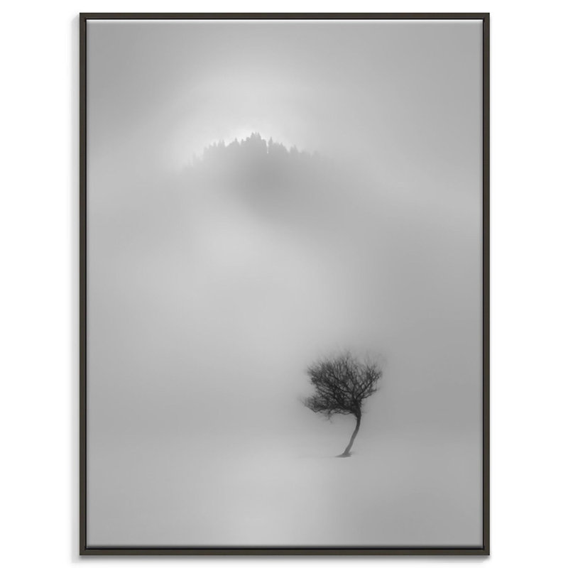 Print on Canvas, 51cm H x 41cm W, Black Floater Frame
