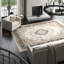 Oriental Area Rug in Ivory/Black