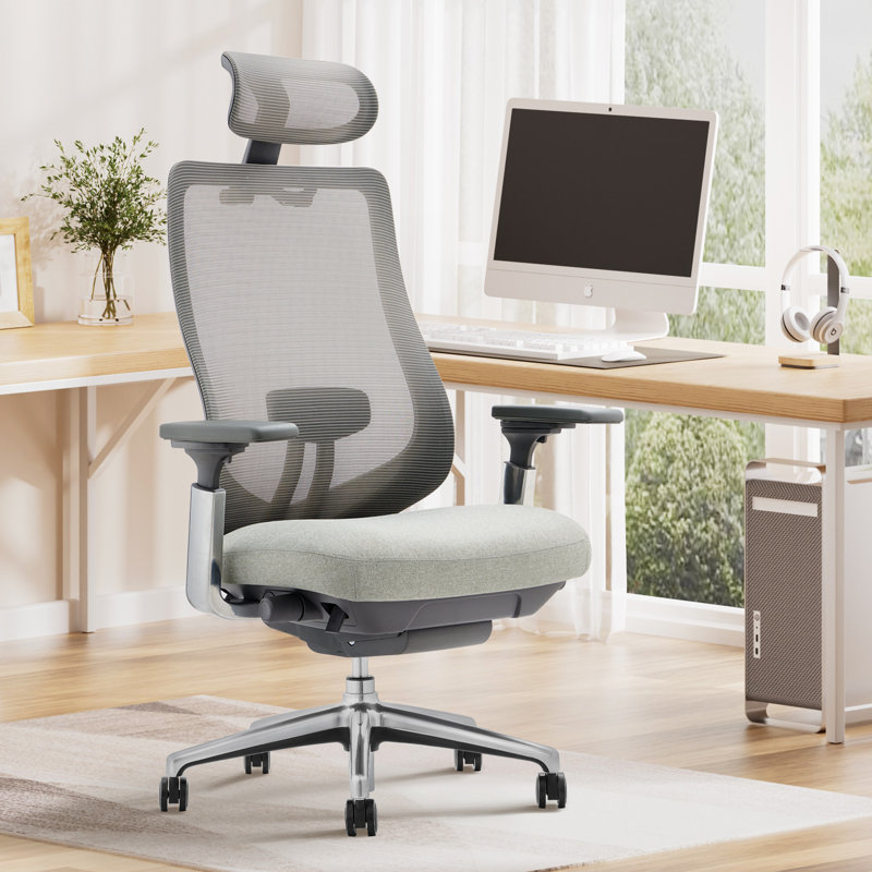Chaise de bureau ergonomique avec appui-tête réglable, soutien lombaire et accoudoirs 4D, Gris pâle / gris, Argent argent