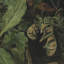 Forest Still Life Print by Sarah Bird-79753164