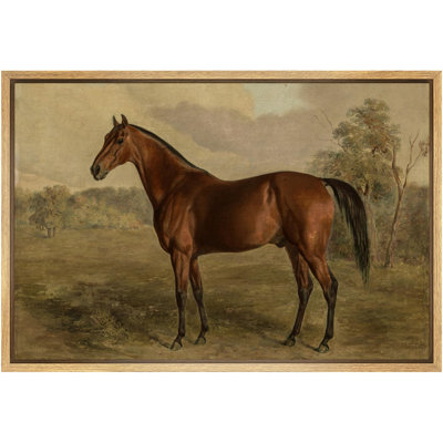 Horse " Equestrian Portrait Of A Chestnut Horse Classic Equine Illustrations Rustic French Country "