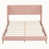 Rose est en rupture de stock