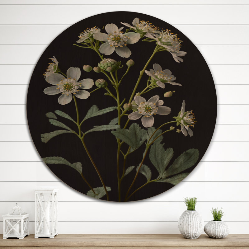 «Diphylleia Grayi» sur fond noir I - Art mural en bois floral - Bois de pin naturel, H 29 po x l 29 po x P 1 po