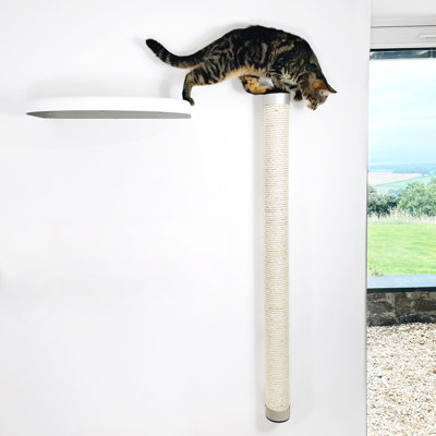 Deemer Scratching Post