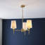 Devi 3 - Light Shaded Chandelier-1902975705