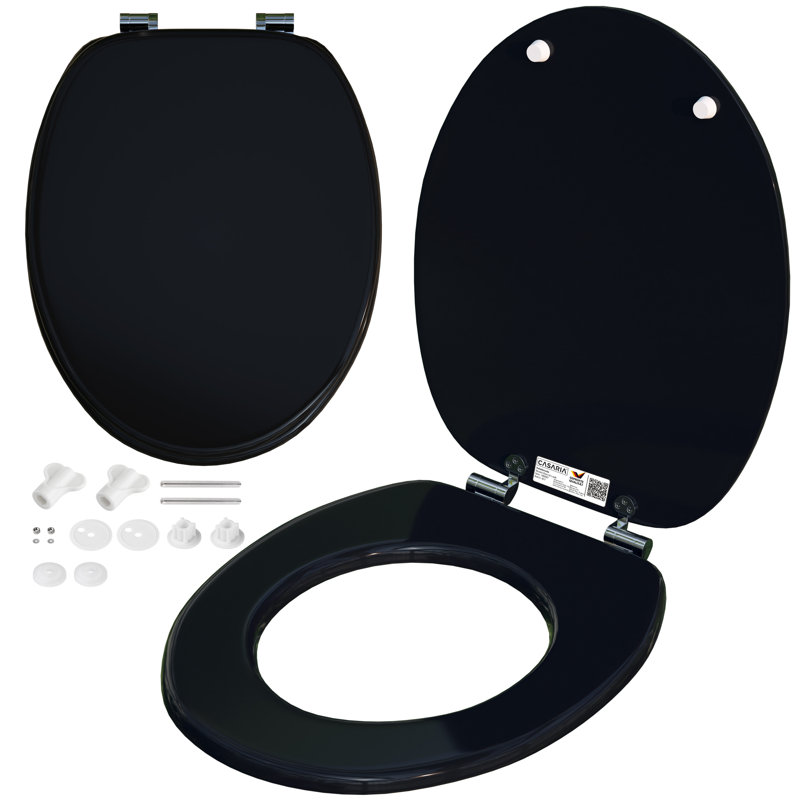 Hecuba Elongated Standard Toilet Seat