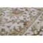 Oriental Area Rug